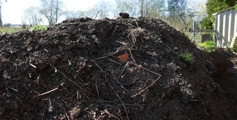 The Sheep Dung Composting Conundrum