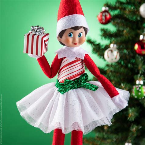 The Shelf Elf Kindle Editon