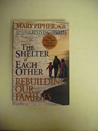 The Shelter of Each Other Rebuilding Our Families PDF