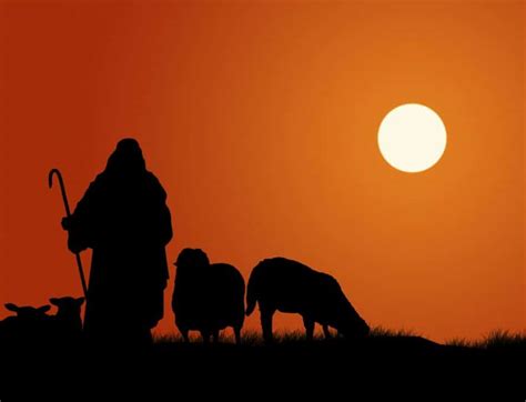 The Shepherd: A Guardian of Flocks