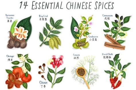 The Shi San Yao: A Comprehensive Guide to the 13 Essential Chinese Herbs