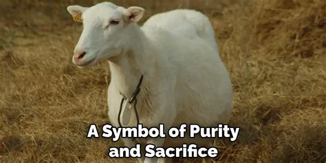 The Shirt's Symbolism: Purity and Love's Sacrifice