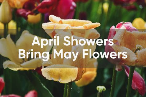 The Significance of April Showers