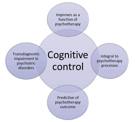 The Significance of Cognitive Control