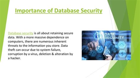 The Significance of Database Protection