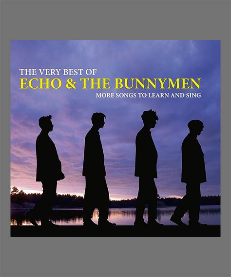 The Significance of Echo and the Bunnymen