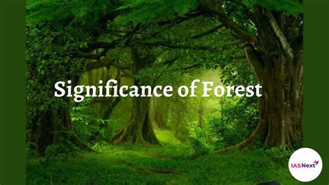 The Significance of Forests