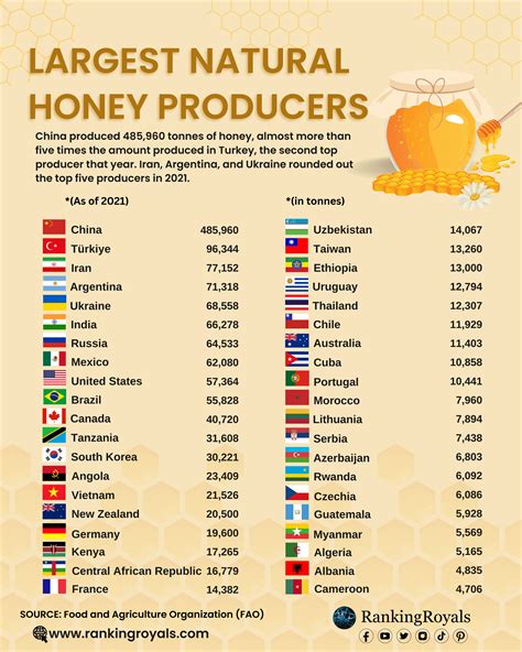 The Significance of Honey Production