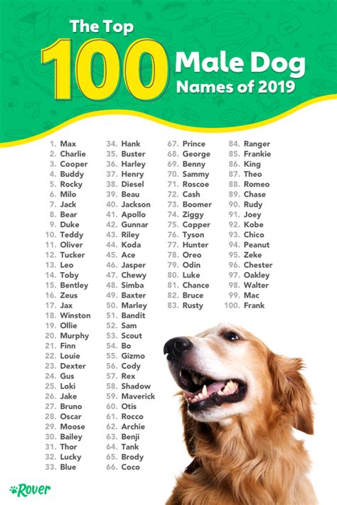 The Significance of Masculine Dog Names: A Testimony to Strength and Character