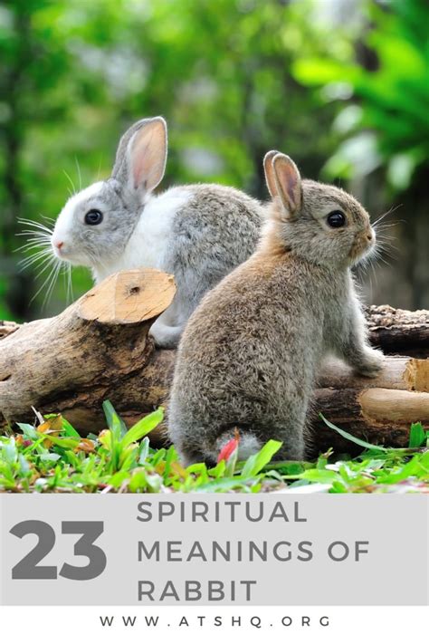 The Significance of Rabbits in Our Ecosystem