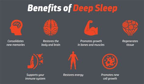 The Significance of Sleep