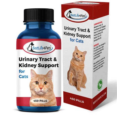 The Significance of Urinary Tract Health in Cats