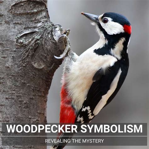 The Significance of Woodpeckers