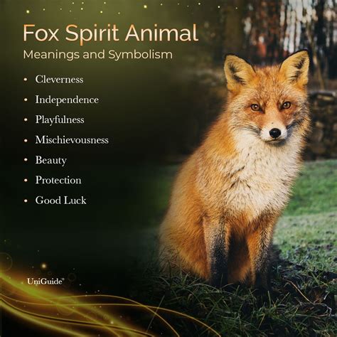 The Significance of the Fox