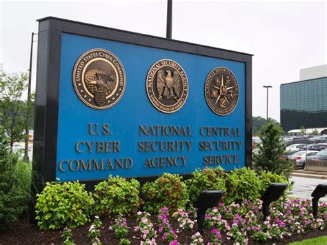 The Significance of the NSA Leaks