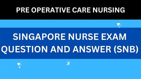 The Singapore Nursing Board: A Comprehensive Guide for Aspiring Nurses