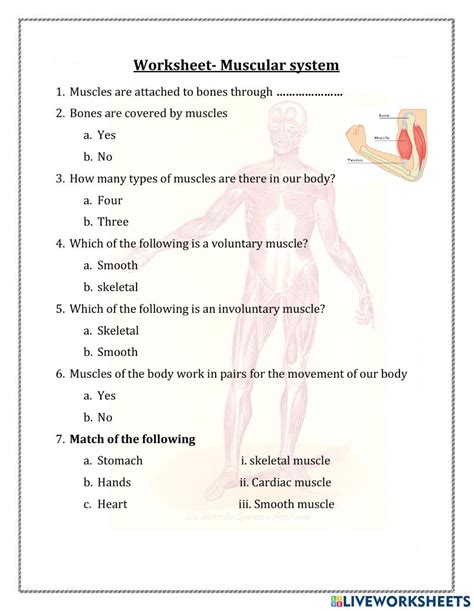 The Skeletal And Muscular Systems Worksheet Answers Epub