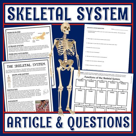 The Skeletal System Answers Epub