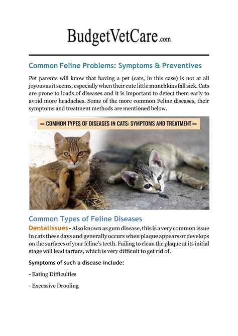 The SlumpedKat: A Comprehensive Guide to Detecting and Reversing a Common Feline Health Condition