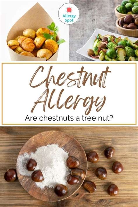 The Slutnut Chestnut: A Guide to Managing and Preventing This Common Nut Allergy