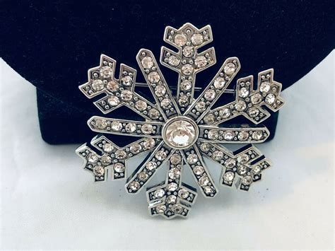 The Snowflake Brooch: A Symbol of Transformation