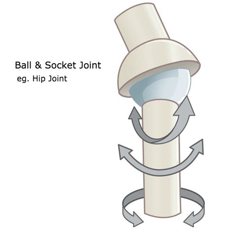 The Socket and Ball: A Match Made in Healthcare