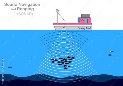 The Sonar Symphony: Fish Use Sound for Navigation and Communication