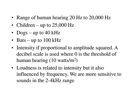 The Sound of the Bat: 25,000 Hertz of Unheard Communication