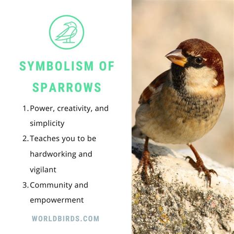 The Sparrow's Symbolic Meaning