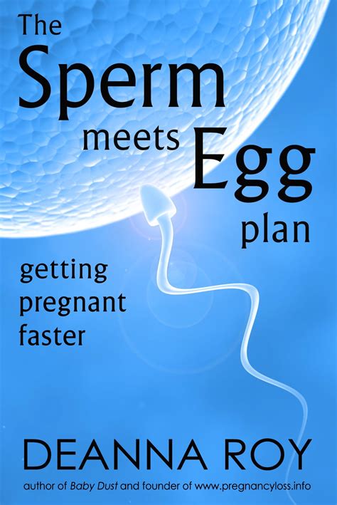 The Sperm Meets Egg Plan Getting Pregnant Faster Doc