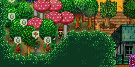 The Stardew Mushroom Tree: A Comprehensive Guide (10,000+ Characters)