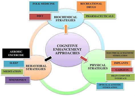 The State of Cognitive Enhancement