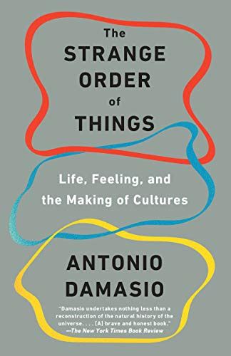 The Strange Order of Things Life Feeling and the Making of Cultures PDF
