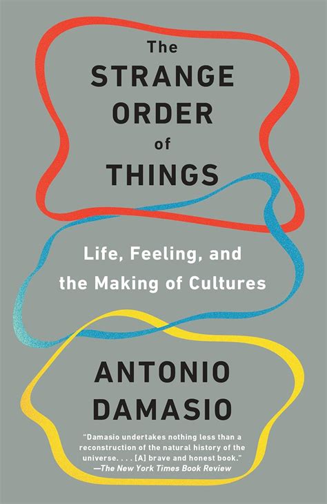 The Strange Order of Things Life Feeling and the Making of Cultures PDF