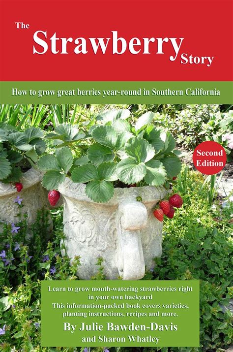 The Strawberry Story How to grow great berries year-round in Southern California Epub