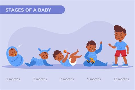 The Studio Bunny Walker: A Comprehensive Guide for Baby's Developmental Journey