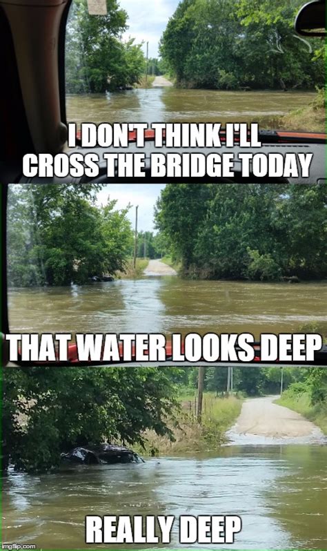 The Submerged World of Flooding Memes