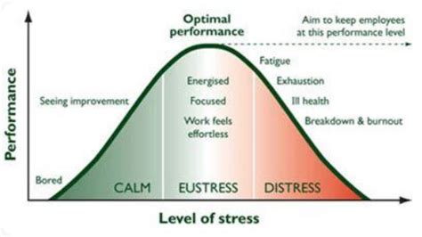 The Survivor Curve: Unraveling the Resilience of Customers