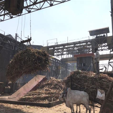 The Sweet Success of Barkatpur Sugar Mill: A Journey of Innovation and Community Empowerment