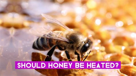 The Sweet Truth: Unlocking the Power of Colahoney