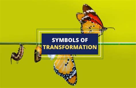 The Symbol of Transformation