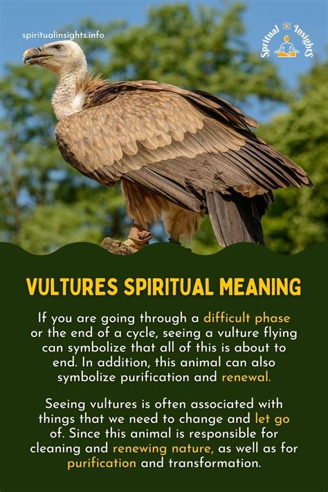 The Symbolism of Vultures in Fashion