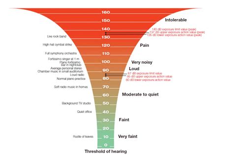 The Symphony of Sound: dB Levels and Comfort