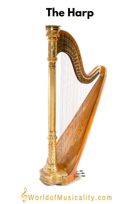 The Symphony of Strings and Scales: Unveiling the Harmonious Bond Between Harp and Dragon