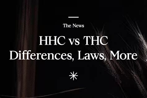 The THC vs. HHC Showdown: Unveiling the Similarities, Differences, and Legal Implications