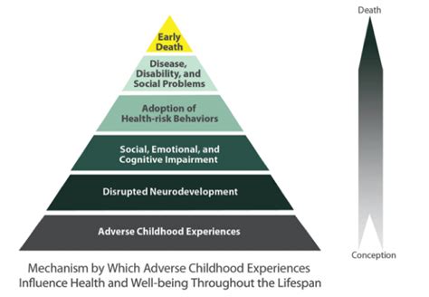 The TRIXIE Model: A Comprehensive Guide to Trauma-Informed Care for Healthcare Professionals