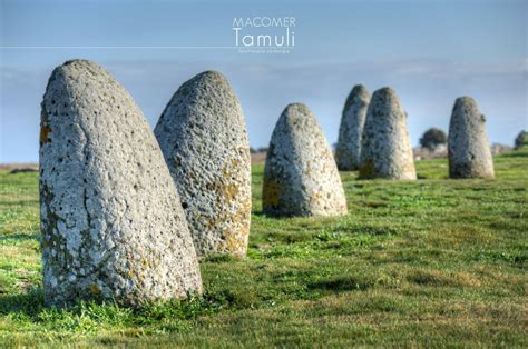 The Tamuli PDF