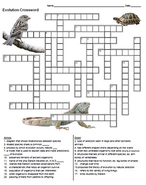 The Theory Of Evolution Crossword Puzzle Answers Doc