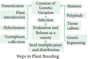 The Theory of Plant Breeding PDF