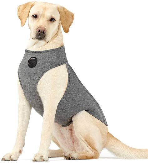 The Thunder Jacket: Calming Anxiety in Dogs and Cats